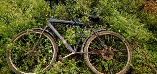 bicycle (Sohrab)