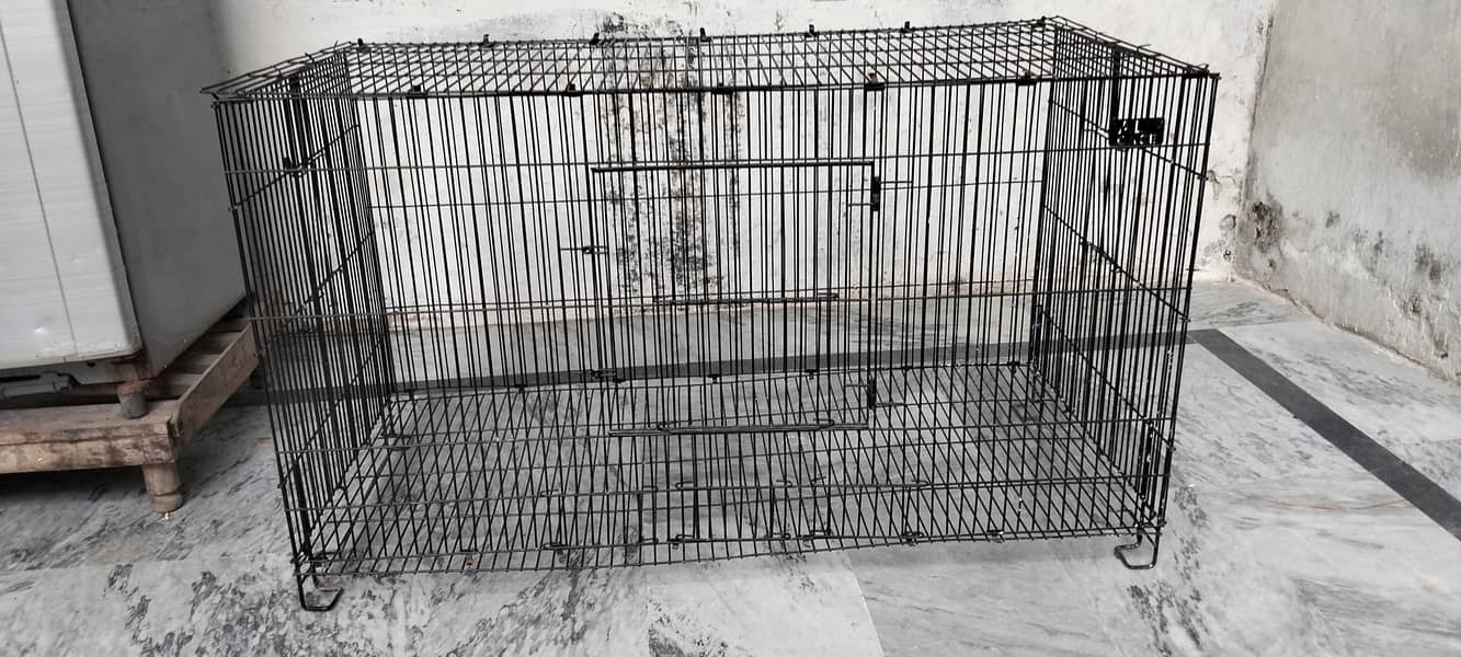 cat cage 1