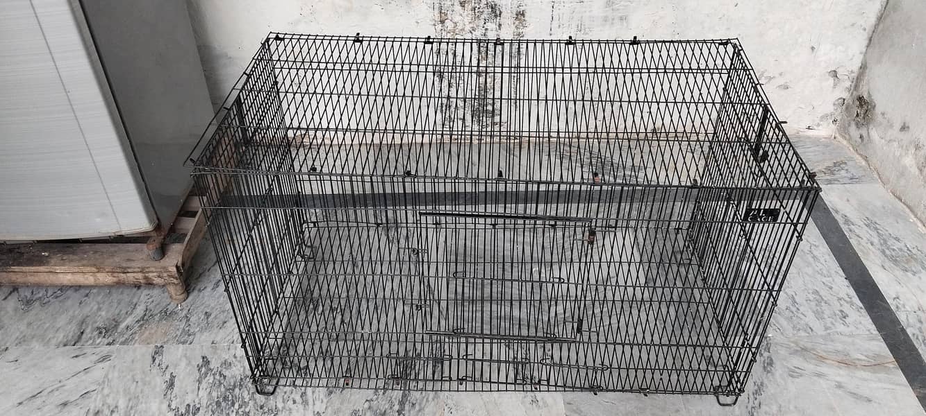cat cage 2