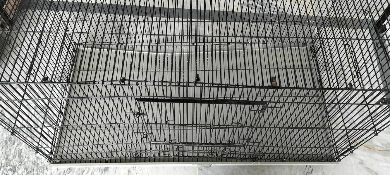 cat cage 4