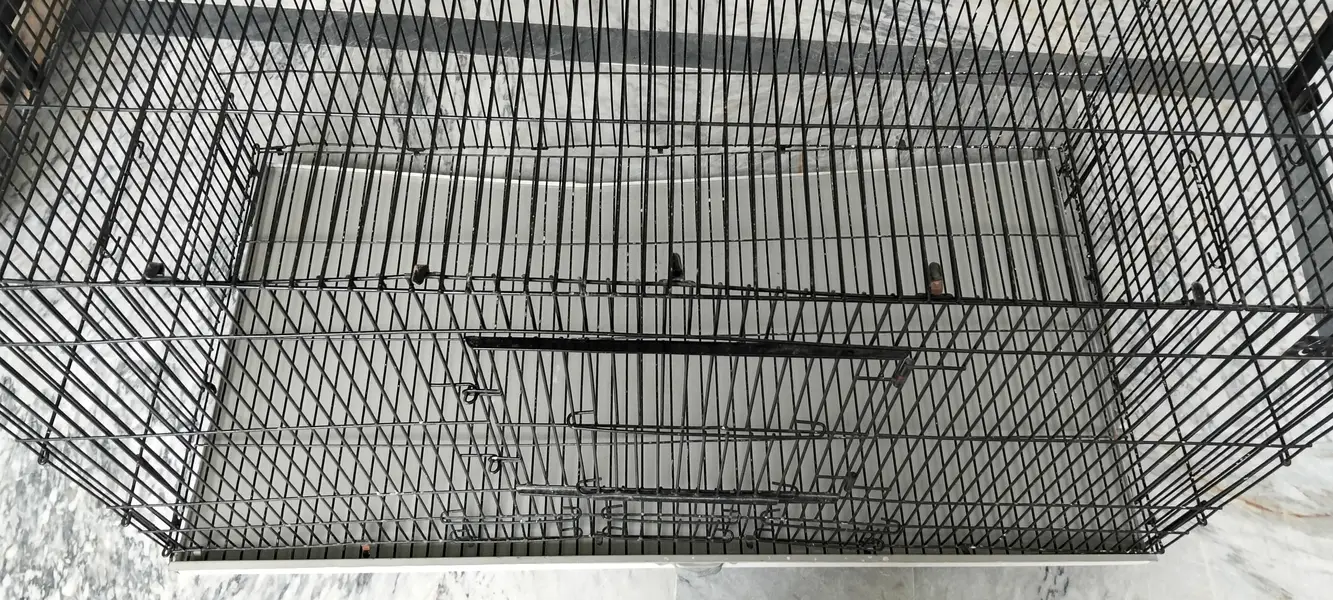 cat cage — photo 5