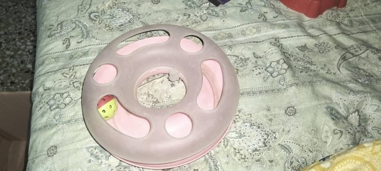 cat cage 14