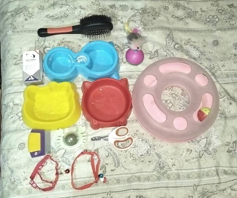 cat cage 15