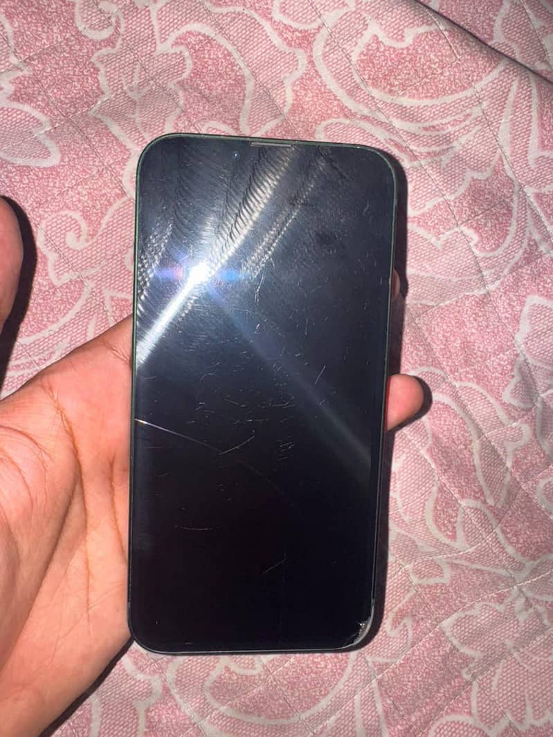 Apple iPhone 13 0