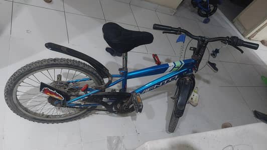 Japani cycles  20 size