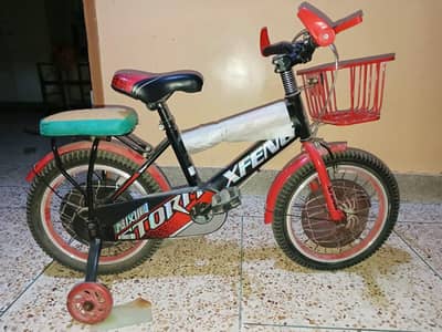 Kids Bicycle for 10 to 12 years kids