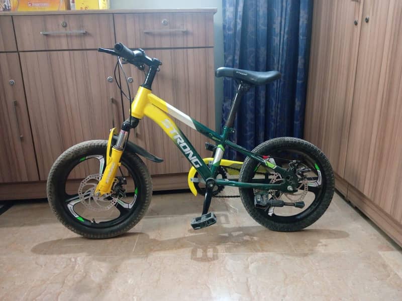Bicycle 1