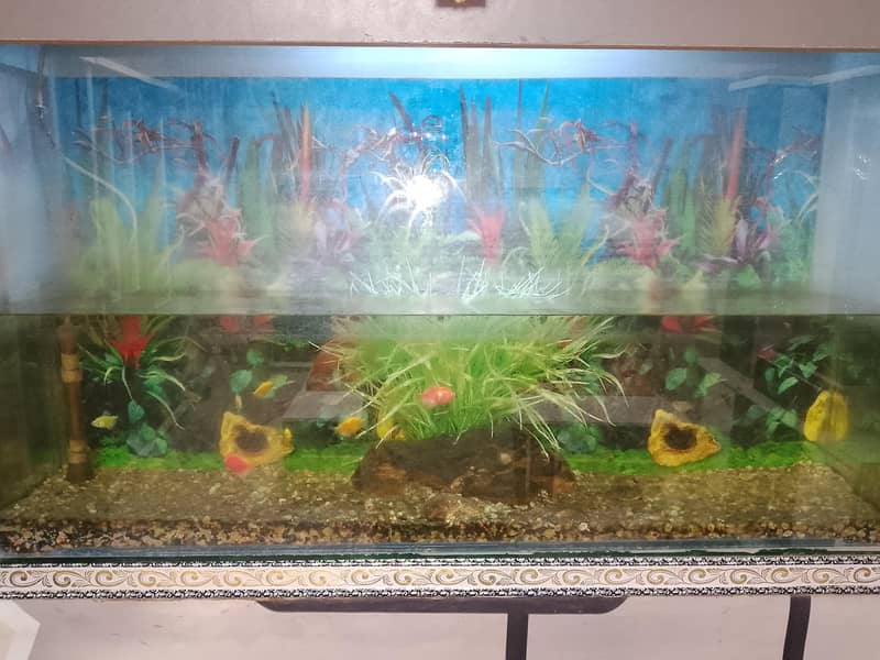 equriume fish 2