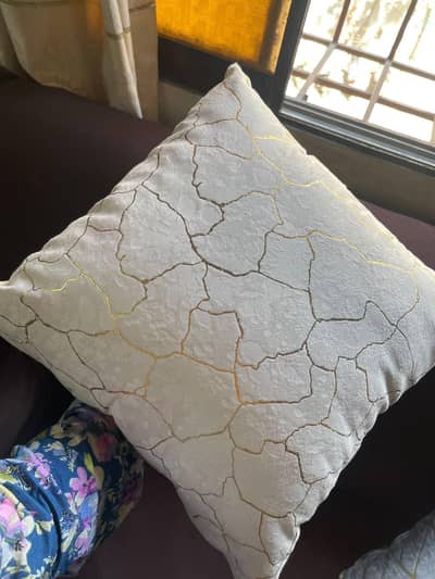 luxurious cushions