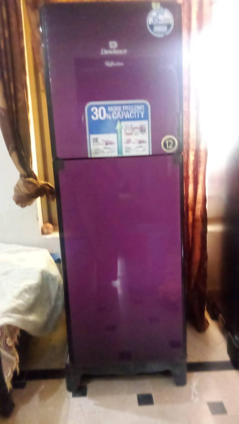 12 CF Medium fridge 2