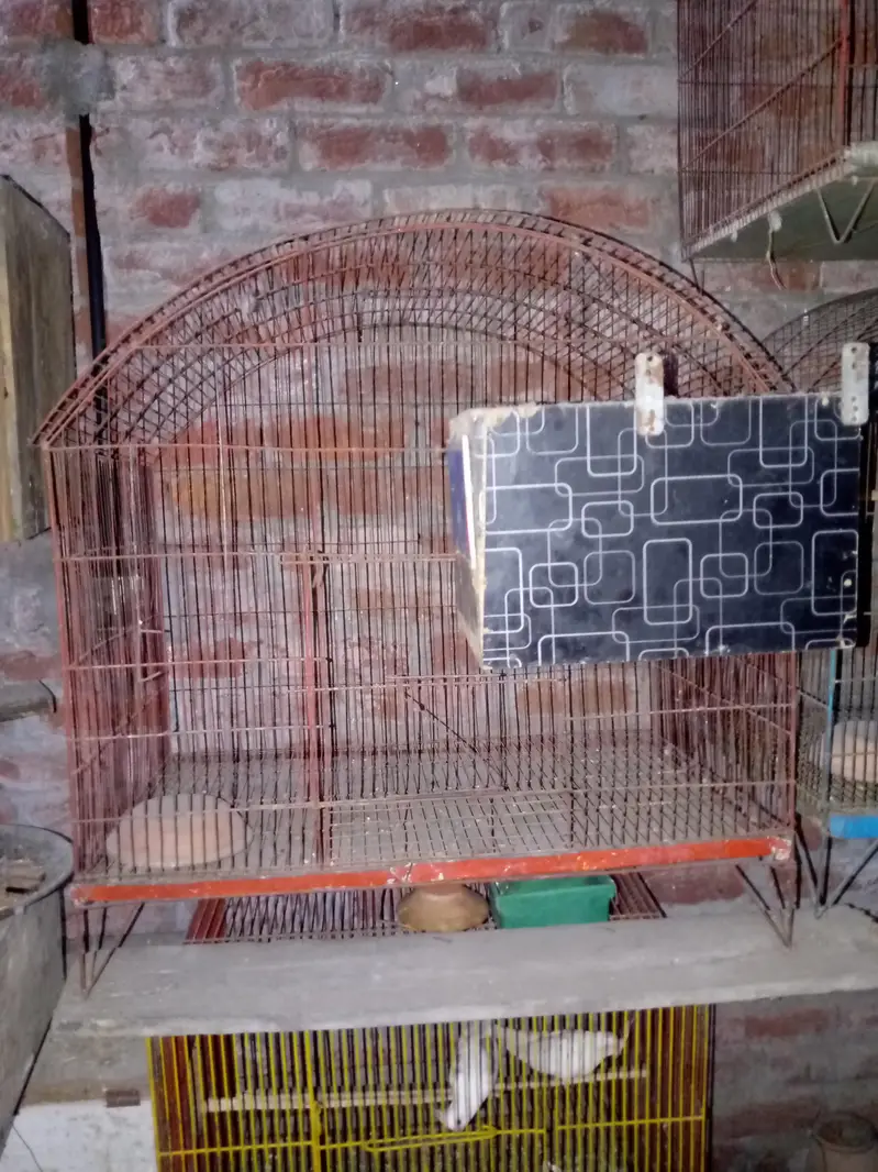 Birds cage for sale — photo 2