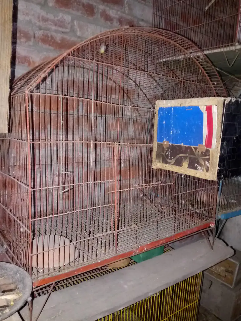 Birds cage for sale — photo 3