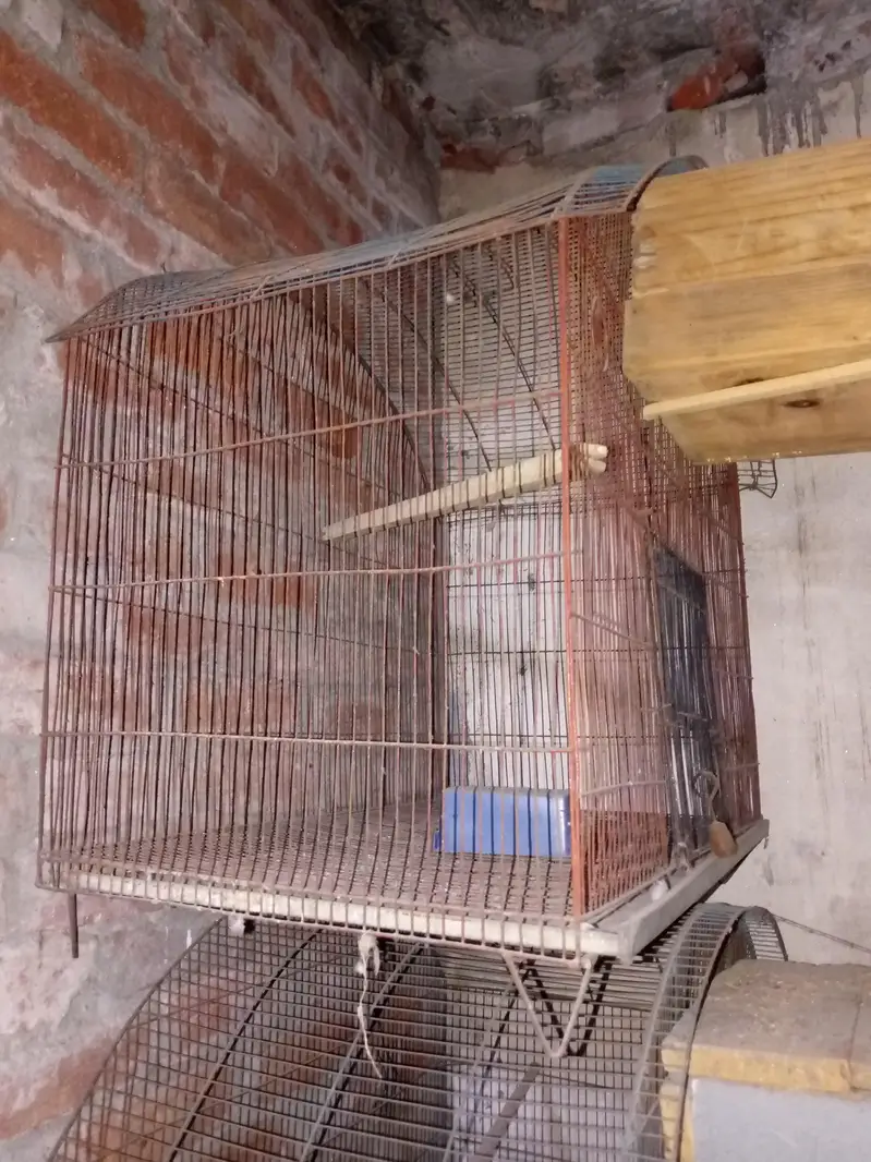 Birds cage for sale — photo 4