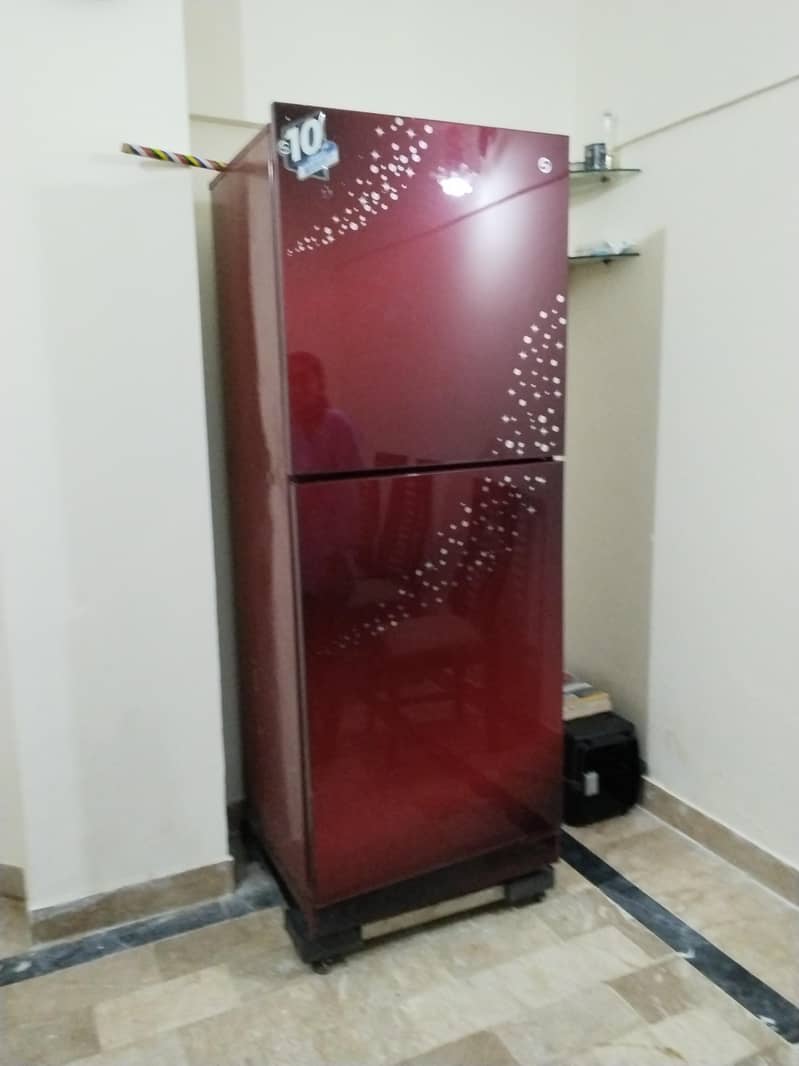 Fridge 5