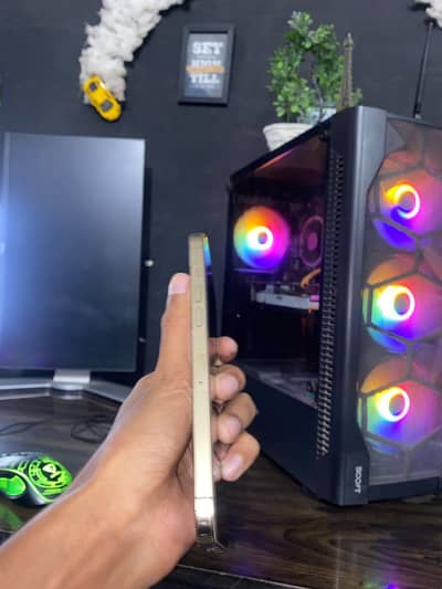 Apple iPhone 12 Pro Max