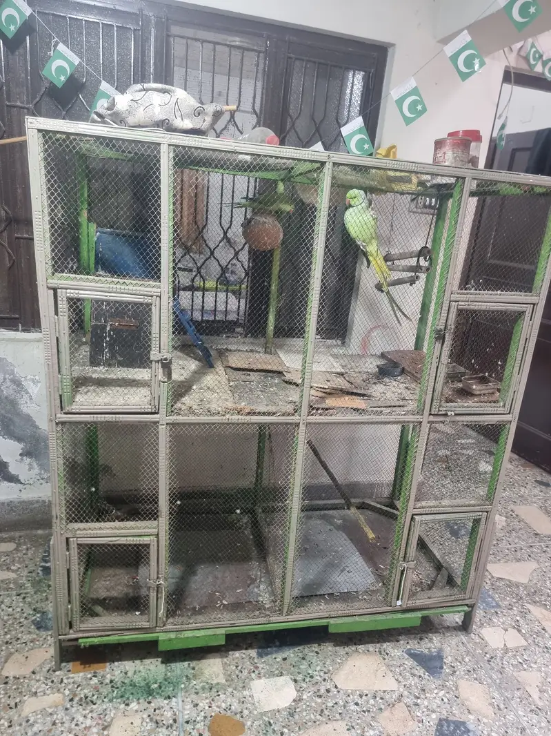 BIRD CAGE FOR SALE — photo 2