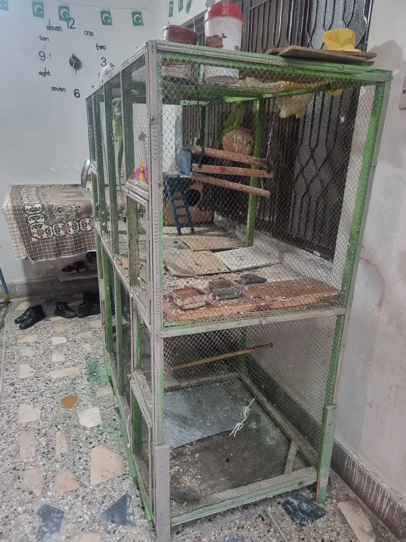 BIRD CAGE FOR SALE — photo 3