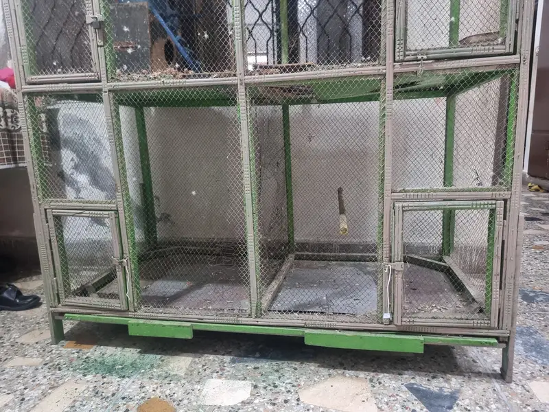 BIRD CAGE FOR SALE — photo 4