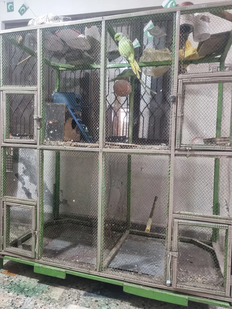 BIRD CAGE FOR SALE — photo 5