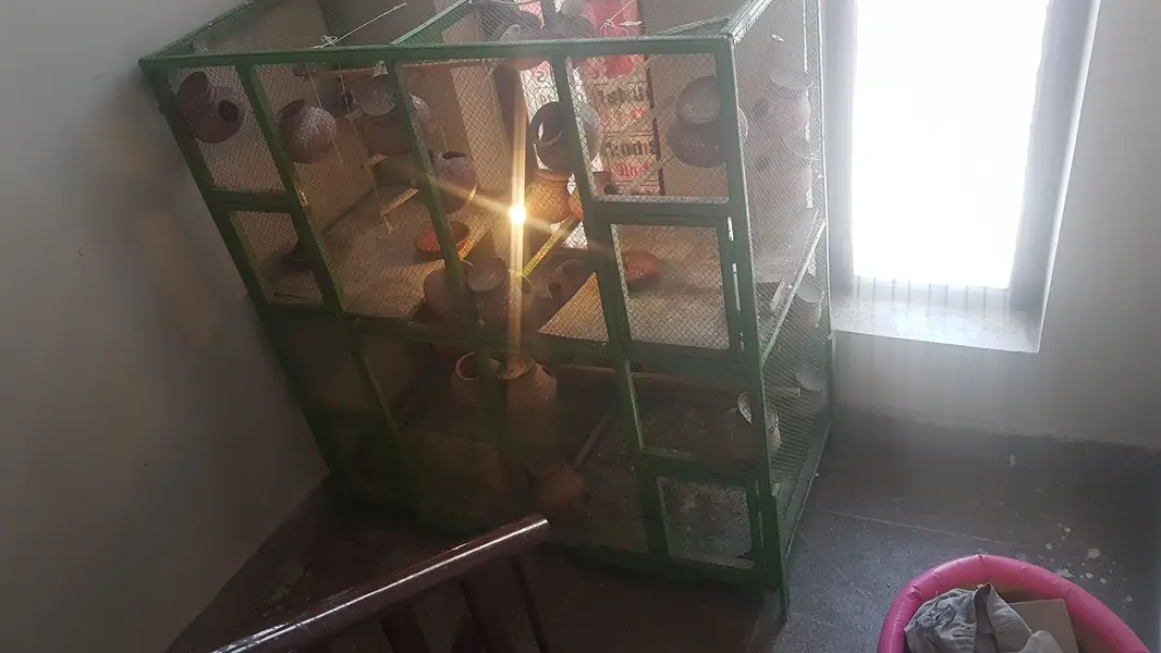 BIRD CAGE FOR SALE — photo 6