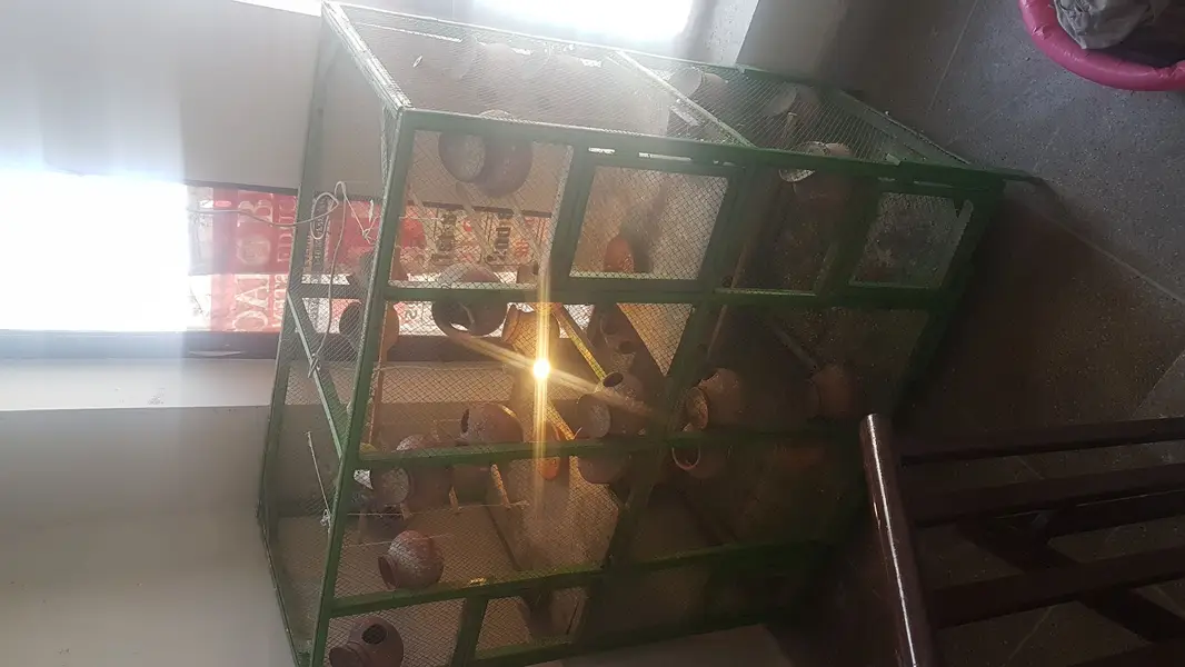 BIRD CAGE FOR SALE — photo 7