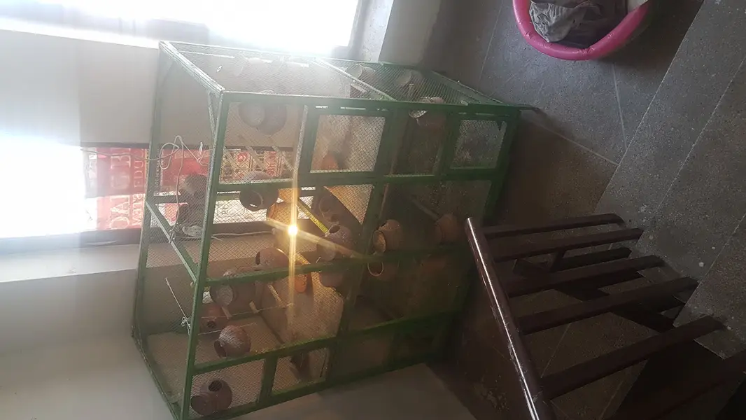 BIRD CAGE FOR SALE — photo 8