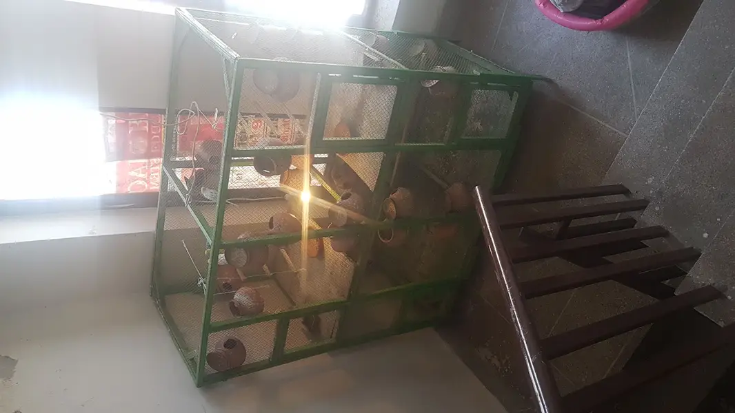 BIRD CAGE FOR SALE — photo 9