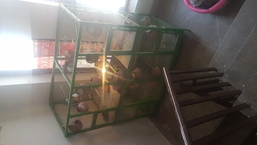 BIRD CAGE FOR SALE — photo 10