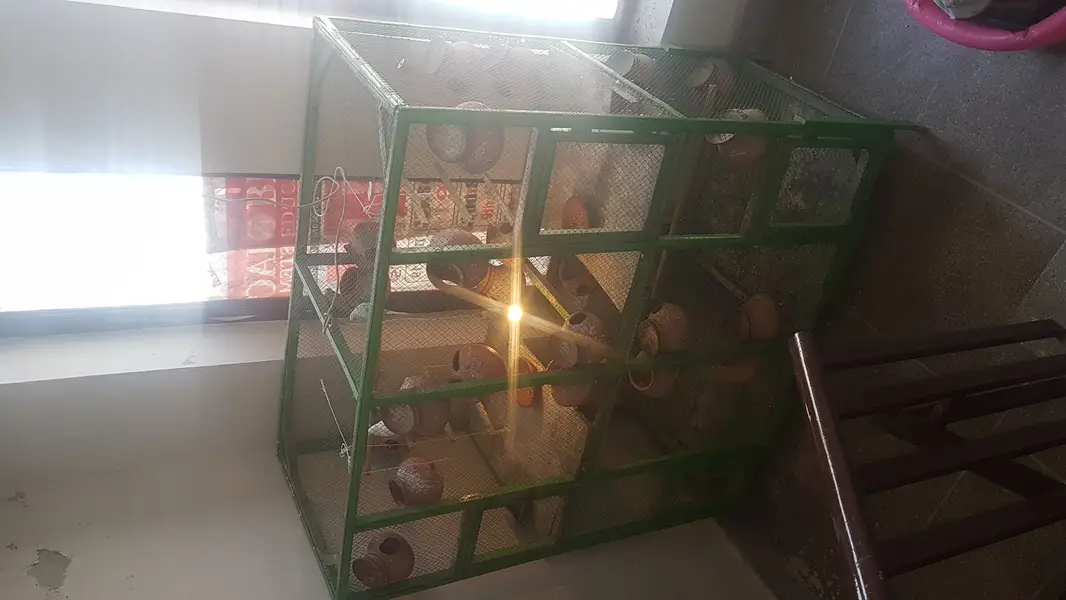 BIRD CAGE FOR SALE — photo 11