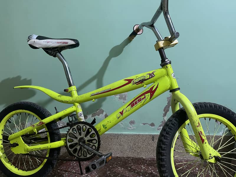 Freestyle Cycle 1