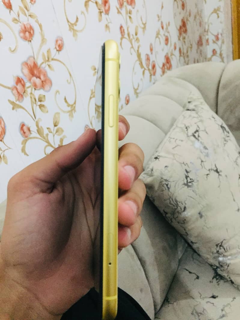 Apple iPhone 11 0