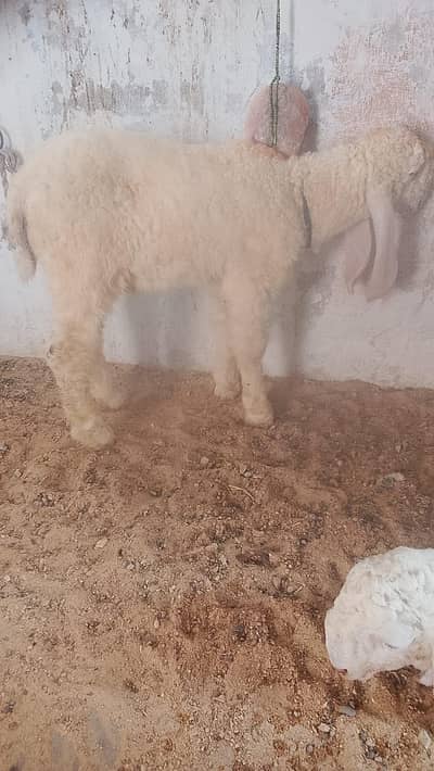 45000