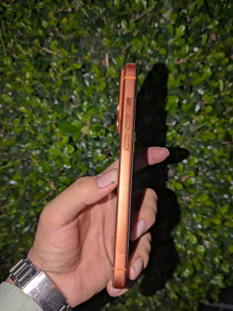 Apple iPhone 17 Pro Max 3