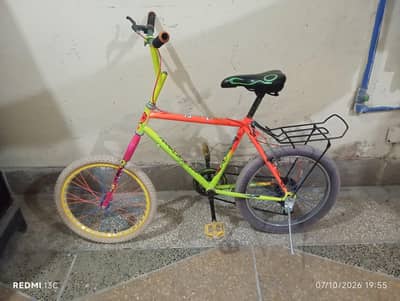 Phoenix bicycle