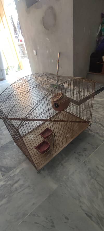 Bird Cage For Sale Brand New