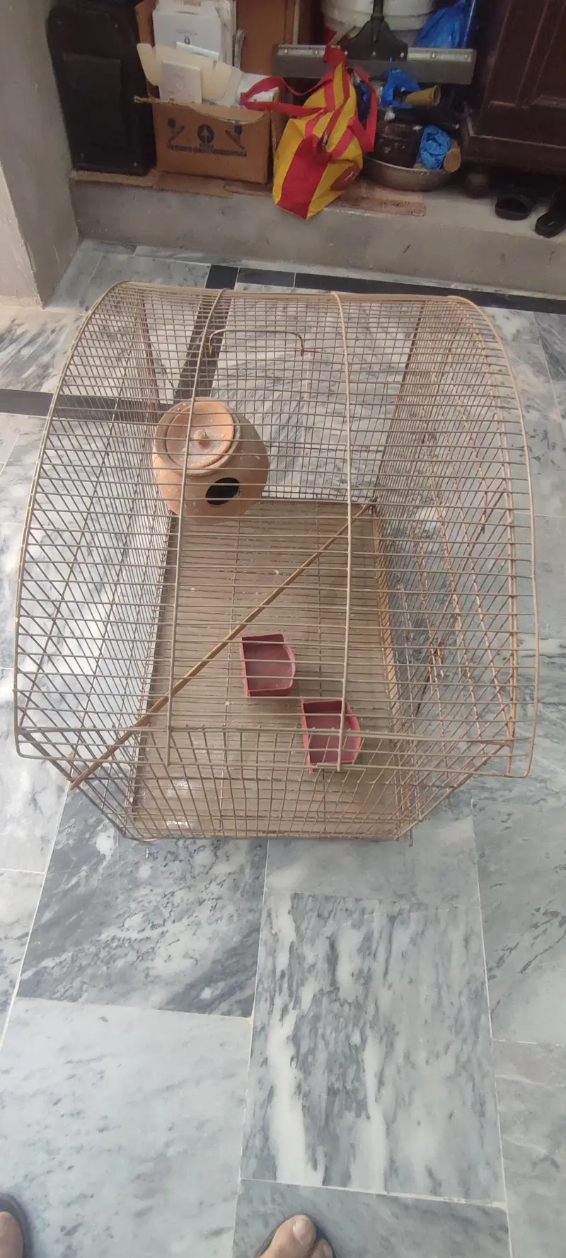 Bird Cage For Sale Brand New — photo 2