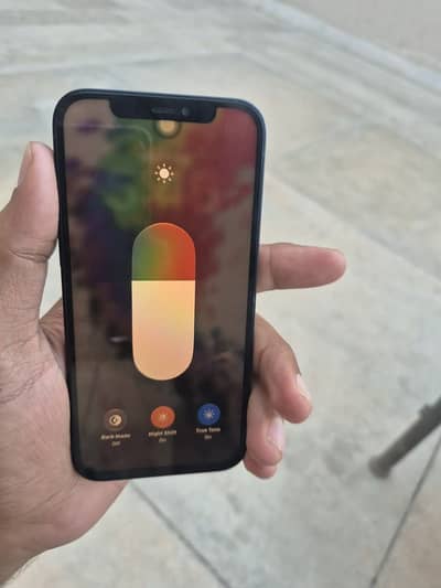 Apple iPhone 12 factory