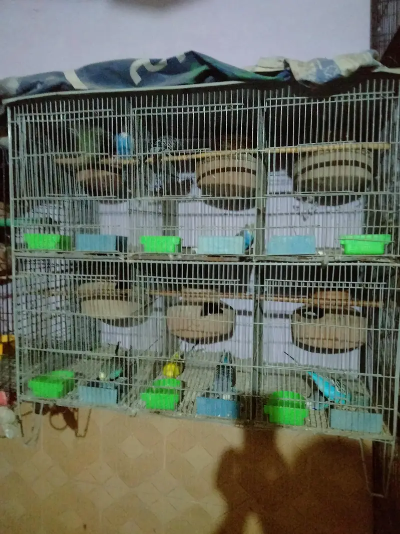 5star cages — photo 3