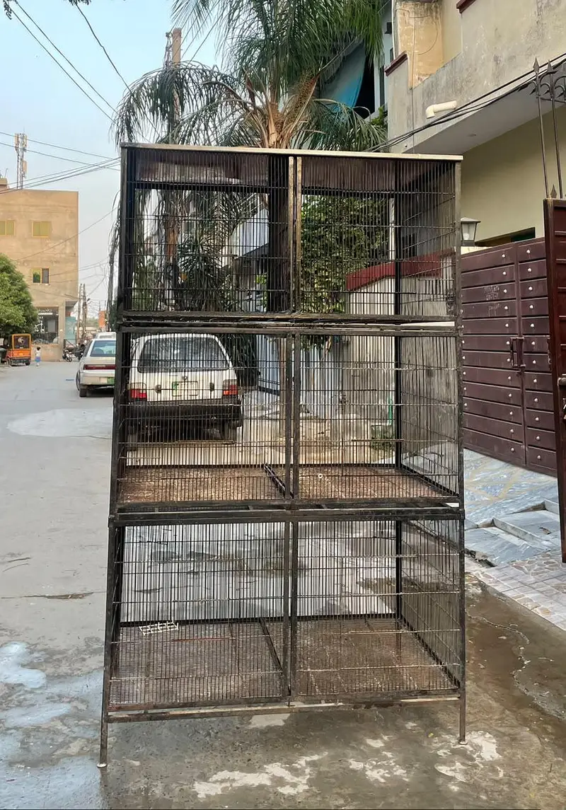 Heavy Iron Cage Set - 1 Big Tier Cage or 3 Separate — photo 2