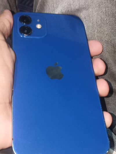 Apple iPhone 12