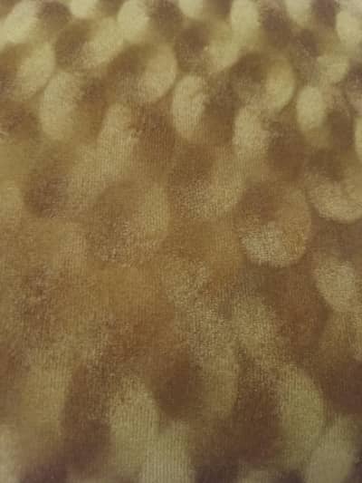 Curtain