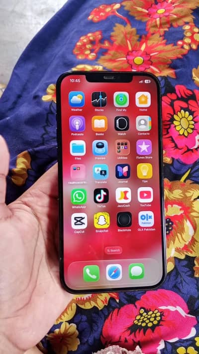 Apple iPhone 12 Pro Max