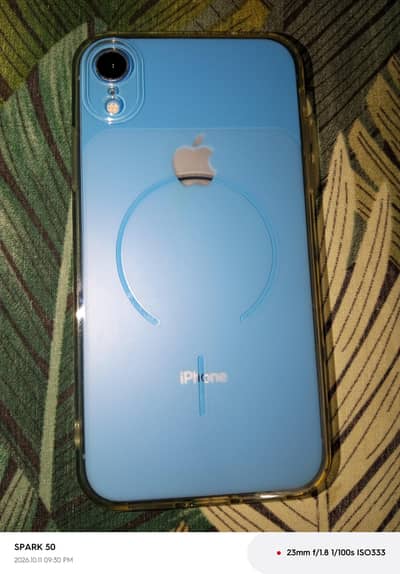 iPhone XR