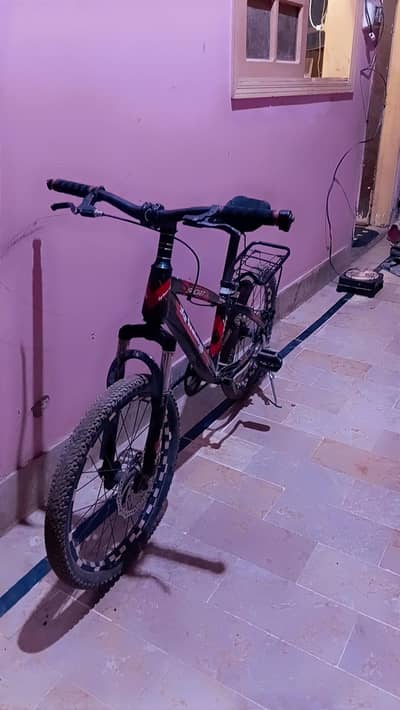 sport cycle