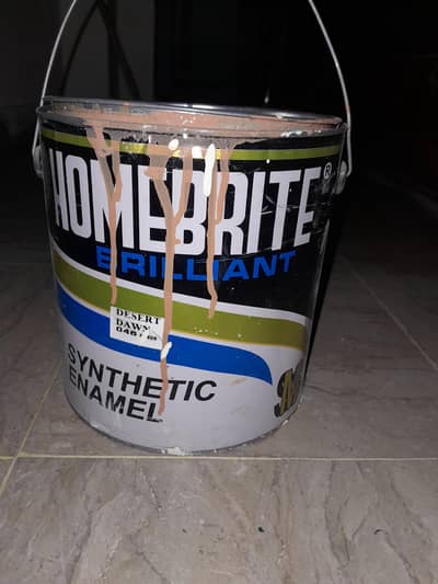 Paint Gallon Full