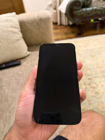 Apple iPhone 12 Pro Max