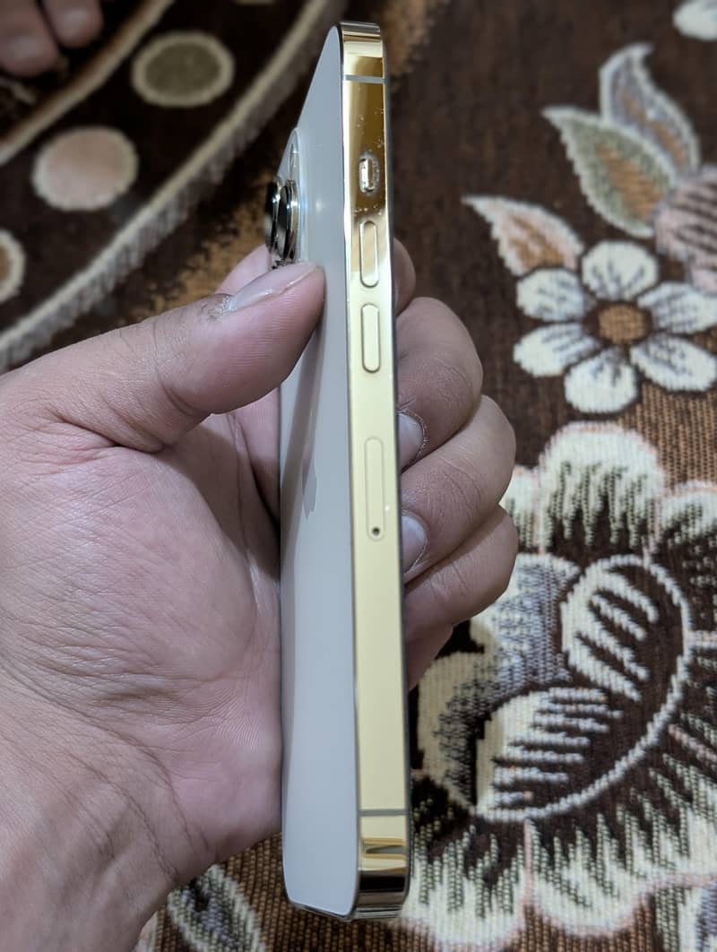Apple iPhone 13 Pro 2