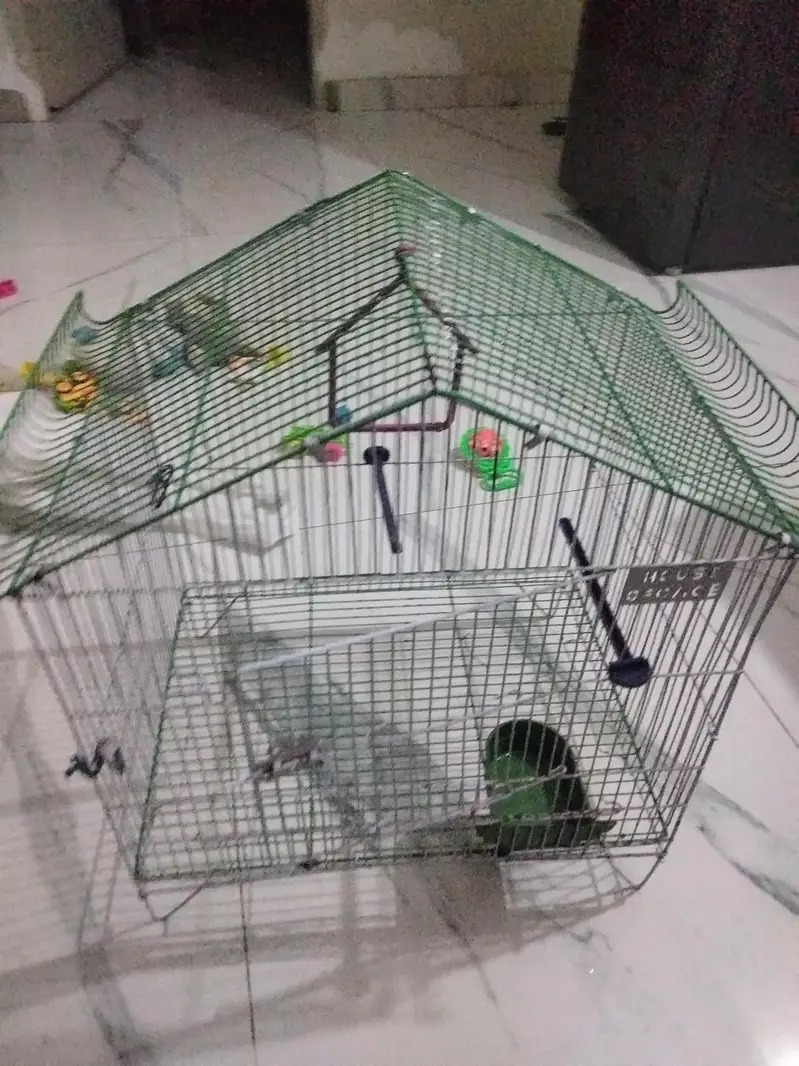 Birds/Perrott Cage for Sale — photo 2