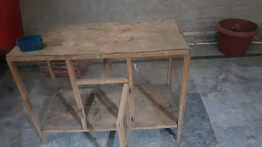 hen cage — photo 2