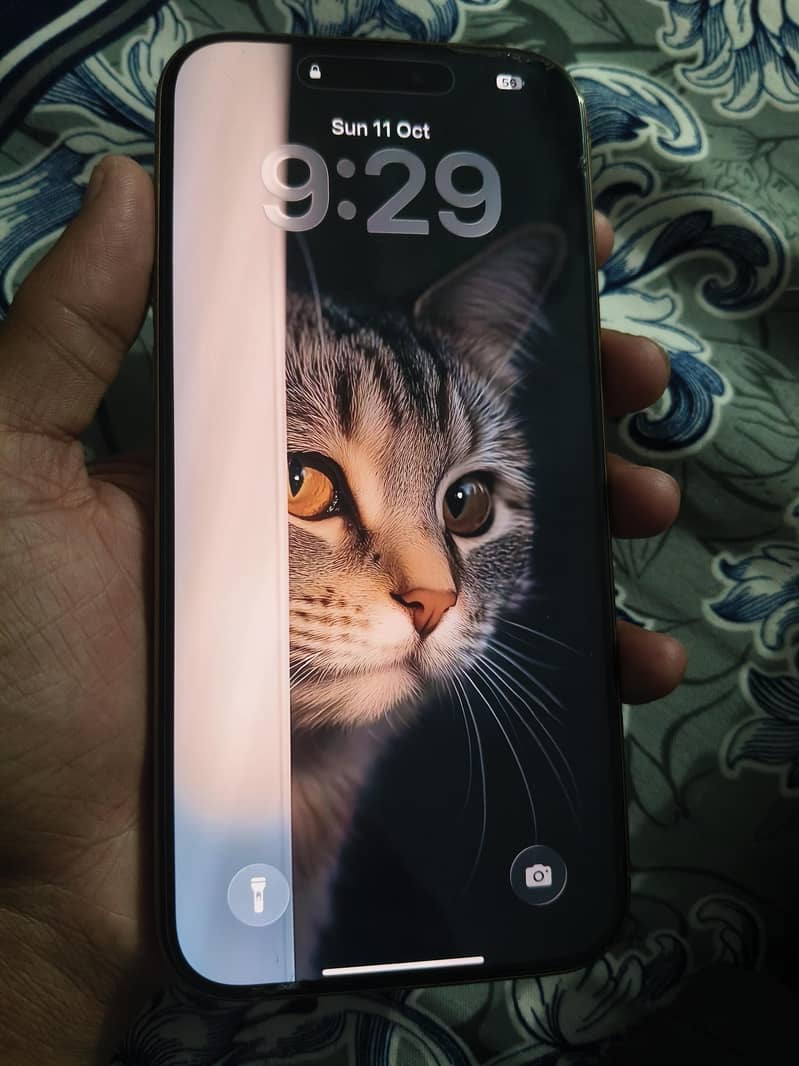 Apple iPhone 16 Pro Max 3